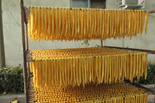 安徽腐竹制作技术