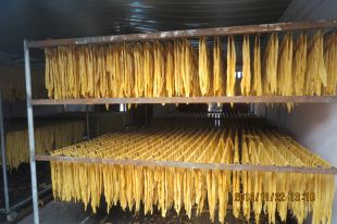 安徽干腐竹条生产厂家